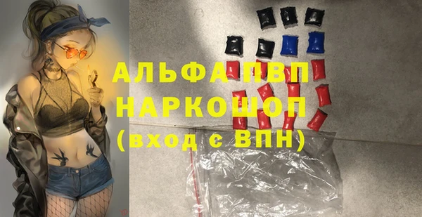 прущий лед Пересвет