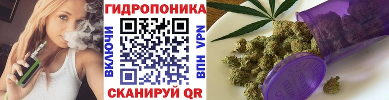 Бошки марихуана THC 21% Кондопога